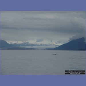 2006_1448_Inian_Islands_Alaska.JPG