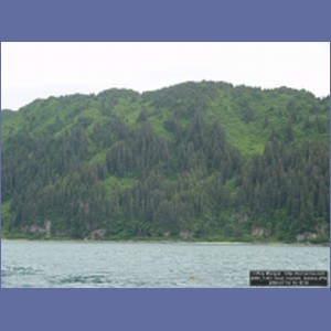 2006_1453_Inian_Islands_Alaska.JPG