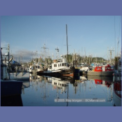 2005_2334_Port_Hardy_Harbour.html