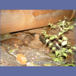 2005_1049_Anyox_Creek_Powerhouse.html