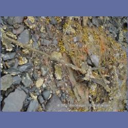 2005_1143_Anyox_Harbour.html