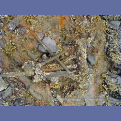 2005_1144_Anyox_Harbour.html