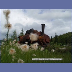 2005_1518_Anyox_Locomotive.html