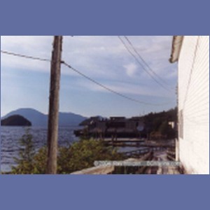 1997_namu17e.jpg
