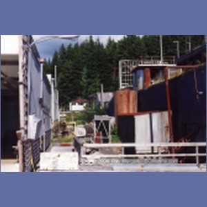 1997_namu181.jpg