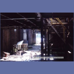 1997_namu182.jpg
