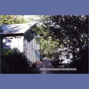 1997_namu185.jpg