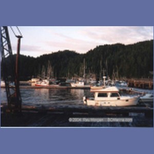 1997_namu186.jpg