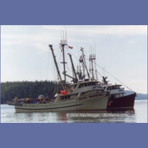 1997_namu18a.jpg