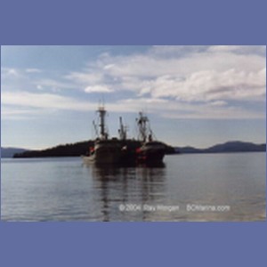 1997_namu18b.jpg