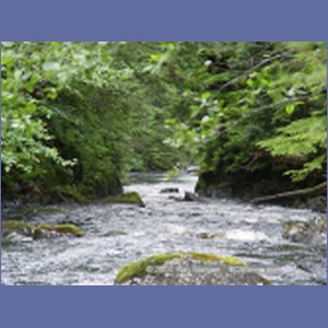 2003_4105_Namu_Harbour_BC.JPG