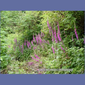2003_4117_Namu_Harbour_BC.JPG
