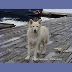 2003_4133_Namu_Harbour_BC.JPG
