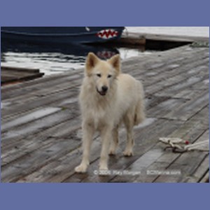 2003_4134_Namu_Harbour_BC.JPG