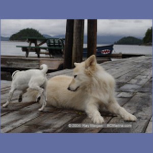 2003_4151_Namu_Harbour_BC.JPG