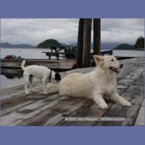 2003_4152_Namu_Harbour_BC.JPG