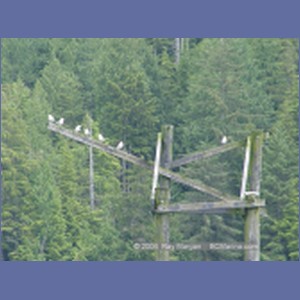2003_4634_Namu_Harbour_BC.JPG