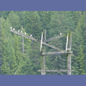 2003_4635_Namu_Harbour_BC.JPG