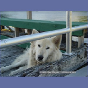 2004_6682_Namu_Harbour.JPG